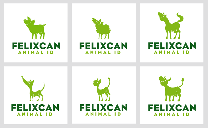 Variaciones del logotipo de Felixcan