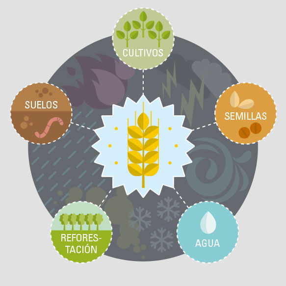 Agricultura resiliente